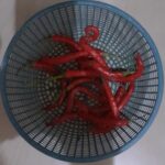 Harga Cabe Merah sabtu ini di pasar Sepatan menjadi Rp 80 ribu, Naik Tajam. 1763806b-f1b3-4843-9e46-cc513b1f4e78