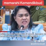 5474316e-7db0-43a3-a801-80c387f5218a