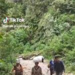 Sekitar 15 KM jalan Desa Singgabur-Desa Gunung Sipon belum tersentuh Pembangunan Aspal. aebe9c6f-1290-4e7d-a4dc-86856cb59dc8