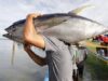 DISPERIKAN KAB. TANGERANG BELANJA IKAN TUNA RP651 JUTA: 7 TON IKAN UNTUK "DESA PKE", TAPI ASPEK SOSIAL NOL? images (1)